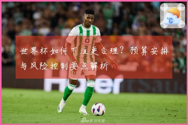 世界杯如何下注更合理？预算安排与风险控制要点解析