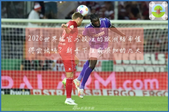 2026世界杯官方投注的欧洲赔率值得尝试吗？新手下注前须知的几大要点