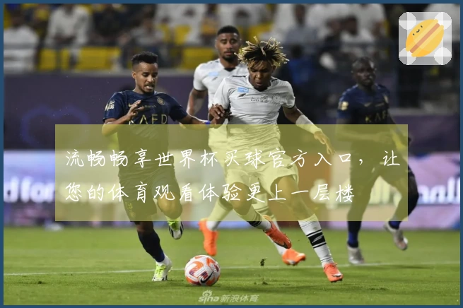 流畅畅享世界杯买球官方入口，让您的体育观看体验更上一层楼