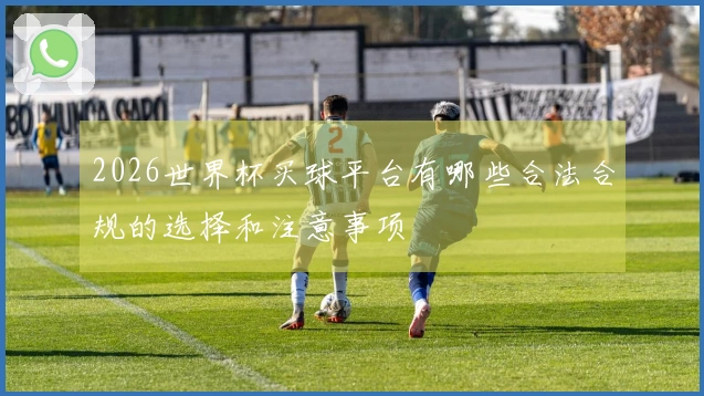 2026世界杯买球平台有哪些合法合规的选择和注意事项