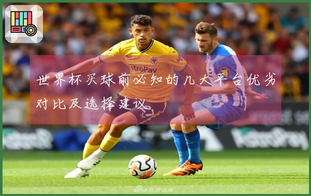 世界杯买球前必知的几大平台优劣对比及选择建议