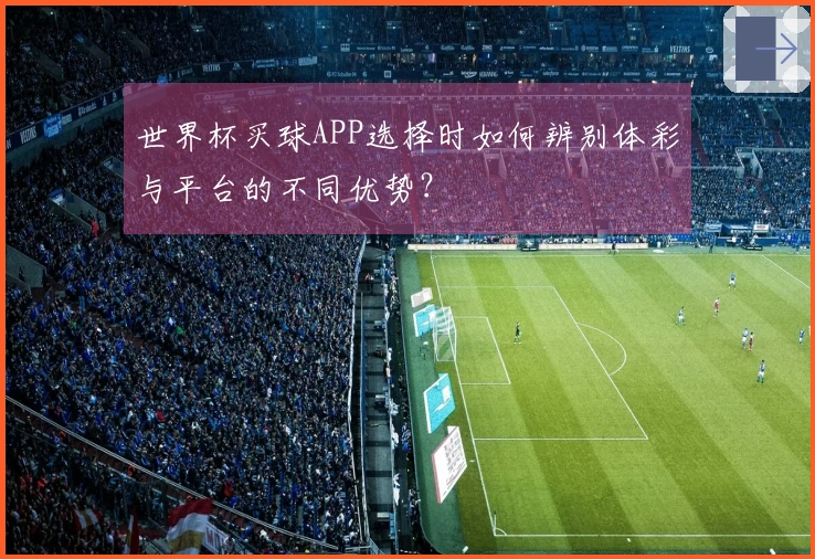世界杯买球APP选择时如何辨别体彩与平台的不同优势？