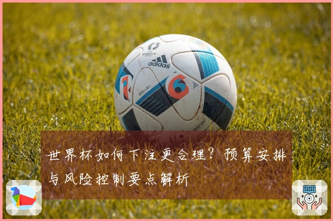 世界杯如何下注更合理？预算安排与风险控制要点解析