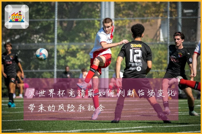买世界杯竞猜前如何判断临场变化带来的风险和机会