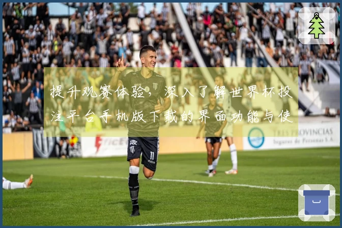 提升观赛体验，深入了解世界杯投注平台手机版下载的界面功能与使用技巧