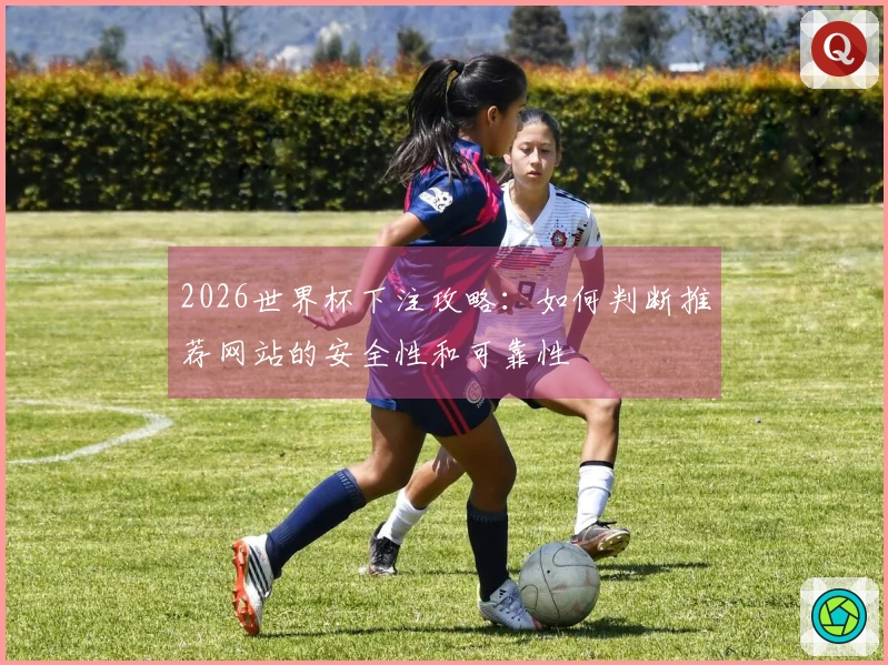 2026世界杯下注攻略：如何判断推荐网站的安全性和可靠性