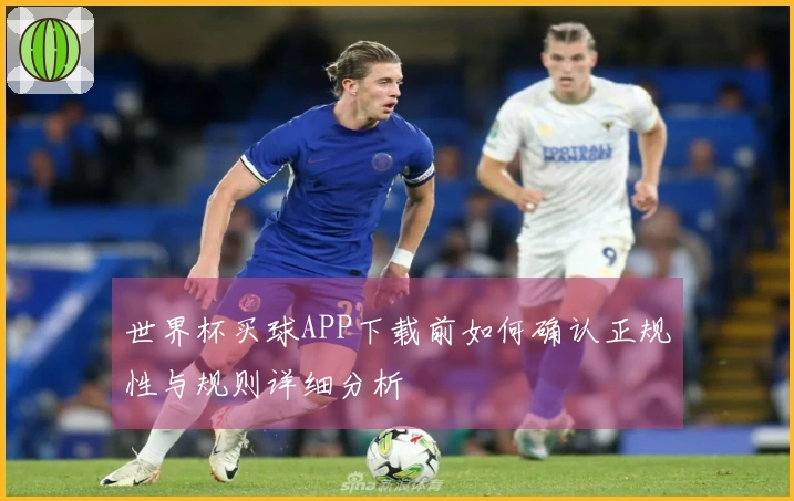 世界杯买球APP下载前如何确认正规性与规则详细分析