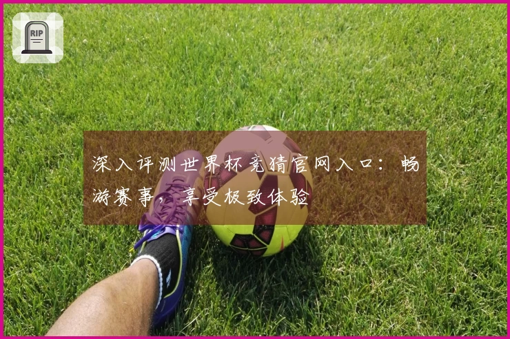 深入评测世界杯竞猜官网入口：畅游赛事，享受极致体验