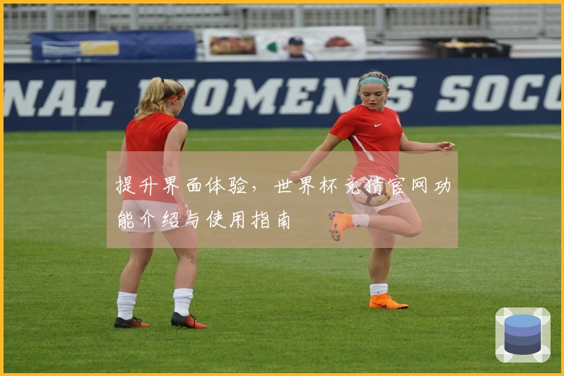 提升界面体验，世界杯竞猜官网功能介绍与使用指南