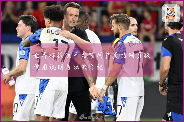 世界杯投注平台官网首页的网页版使用说明与功能介绍