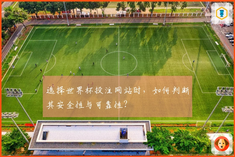 选择世界杯投注网站时,如何判断其安全性与可靠性?