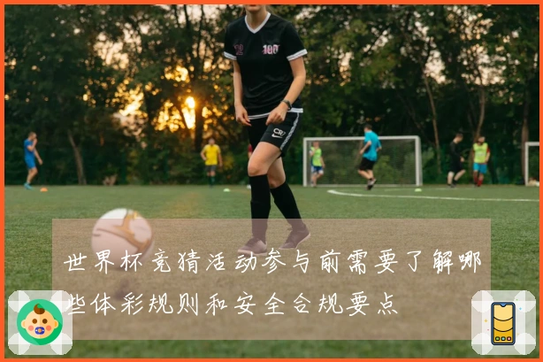 世界杯竞猜活动参与前需要了解哪些体彩规则和安全合规要点