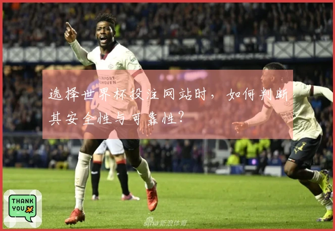 选择世界杯投注网站时，如何判断其安全性与可靠性？