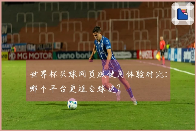 世界杯买球网页版使用体验对比：哪个平台更适合球迷？