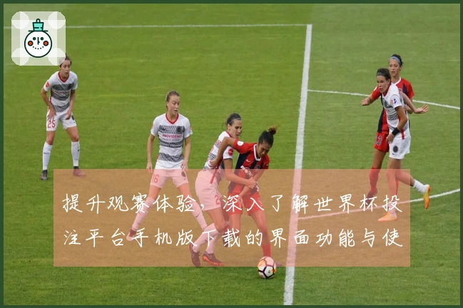 提升观赛体验，深入了解世界杯投注平台手机版下载的界面功能与使用技巧