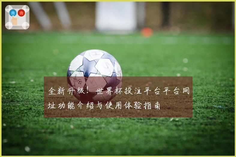全新升级！世界杯投注平台平台网址功能介绍与使用体验指南